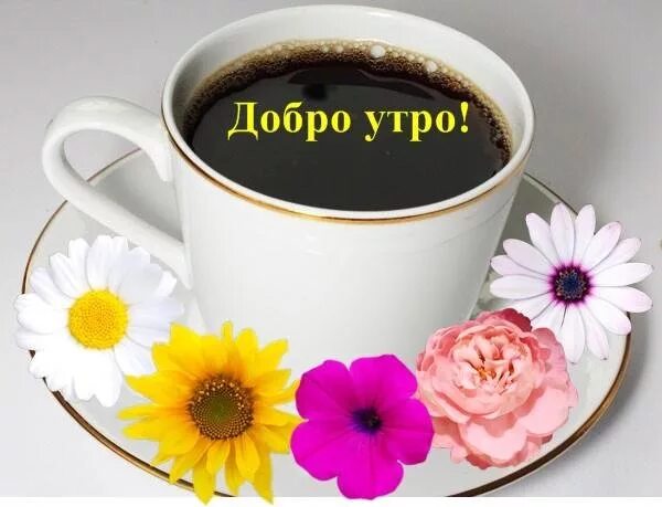 #утро@cvetochniyvodopad 2018 Цветочный водопад. Идеи. Цветы. Сад. ВКонтакте