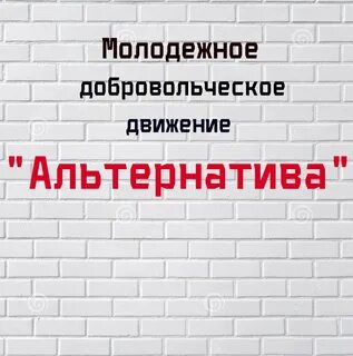 Альтернатива организация