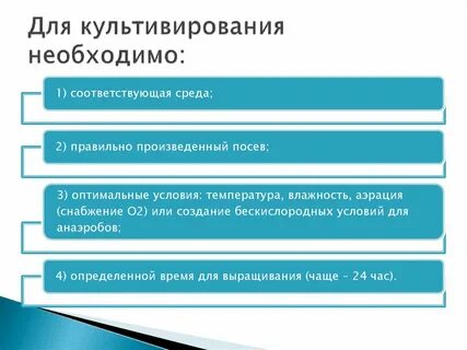 Оптимальные условия культивирования
