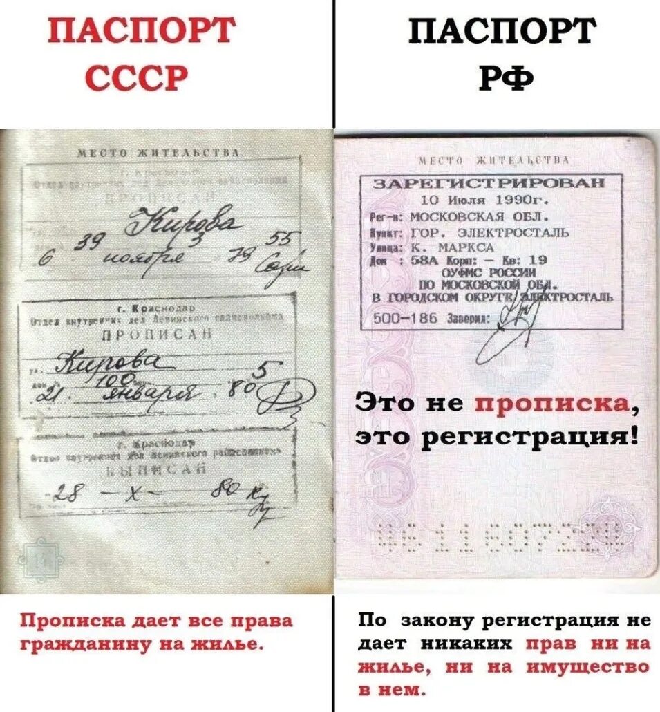 Отметка о гражданстве в свидетельстве 2025