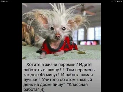 Хочу перемен в жизни