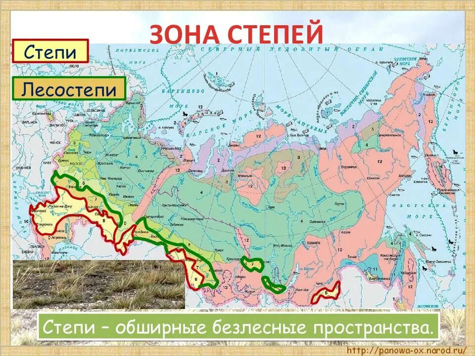 Природные зоны России степь. Степи на карте. Природная зона степь географическое положение. Степи на карте России.