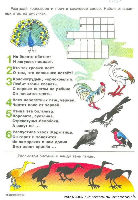 Птицы задания для детей. Кроссворд про птиц для детей. Задачи про птиц для дошкольников. Кроссворд птицы для дошкольников.