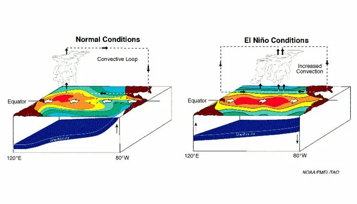 Эль Ниньо. Эль-Ниньо и ла-Нинья. Эль-Ниньо течение. Схема л Ниньо. Нино перевод