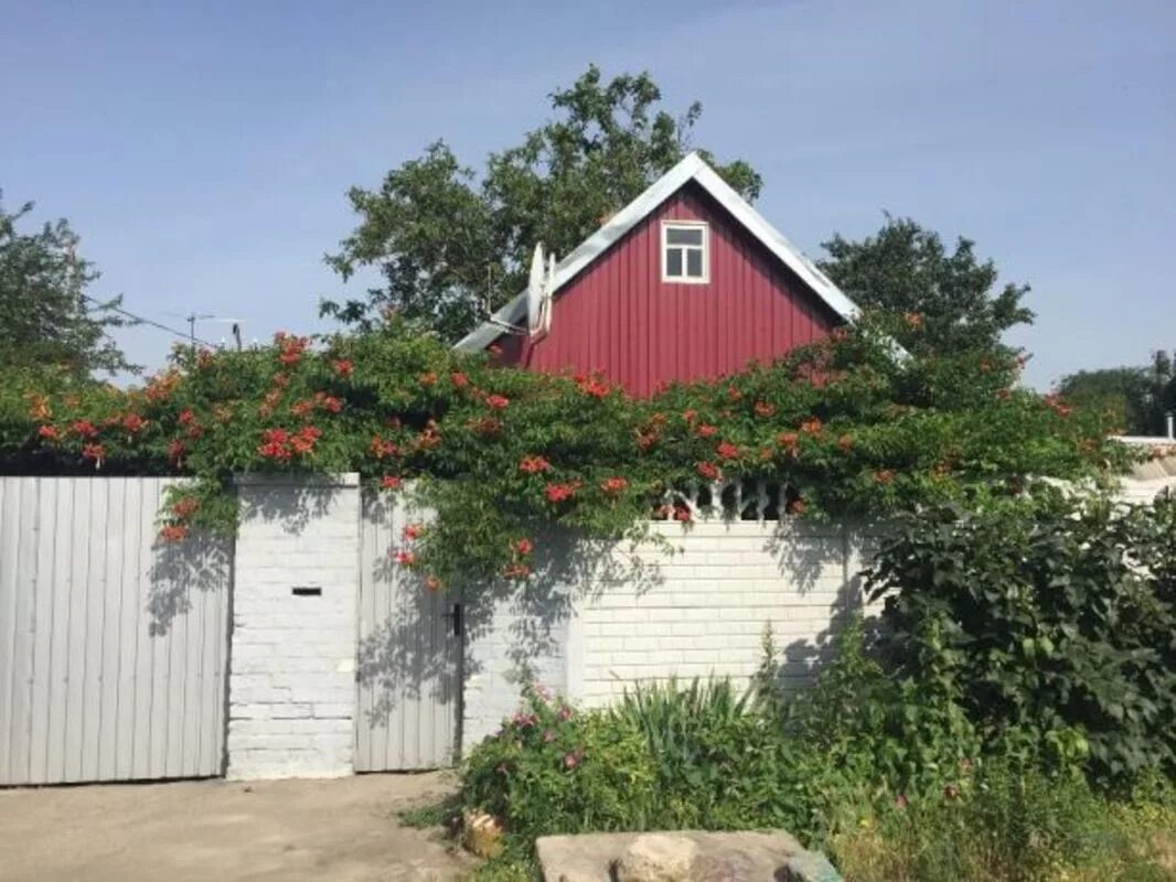 Казацкое херсонская ул. Село камышаны херсонская область. Цюрупинск жилпоселок. Дом херсонская обл. Село камышаны херсонская область украина.