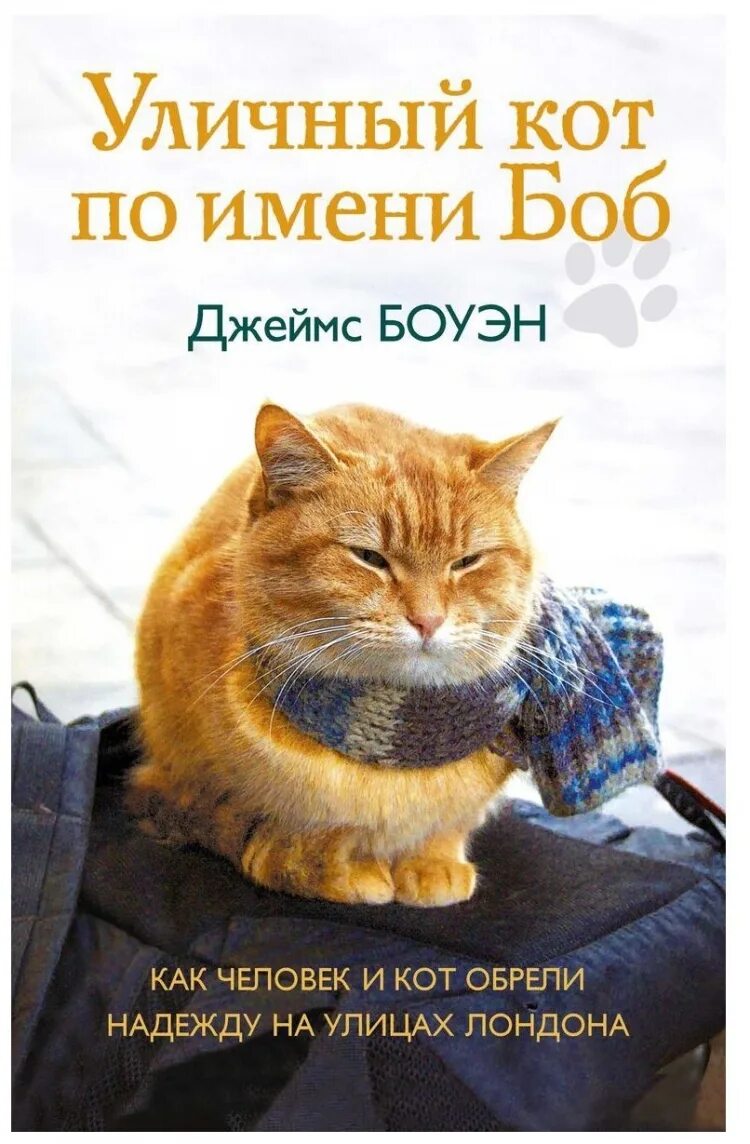 Книга про боба. Уличный кот по имени Боб 2 книга.