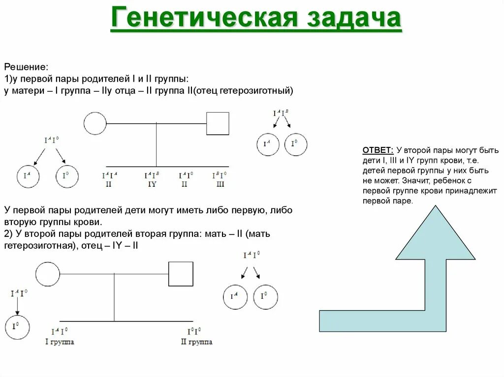 Работа по теме решение генетических задач. Типы задач по генетике схема. генетические задачи. генетика задачи. типы задач по генетике.