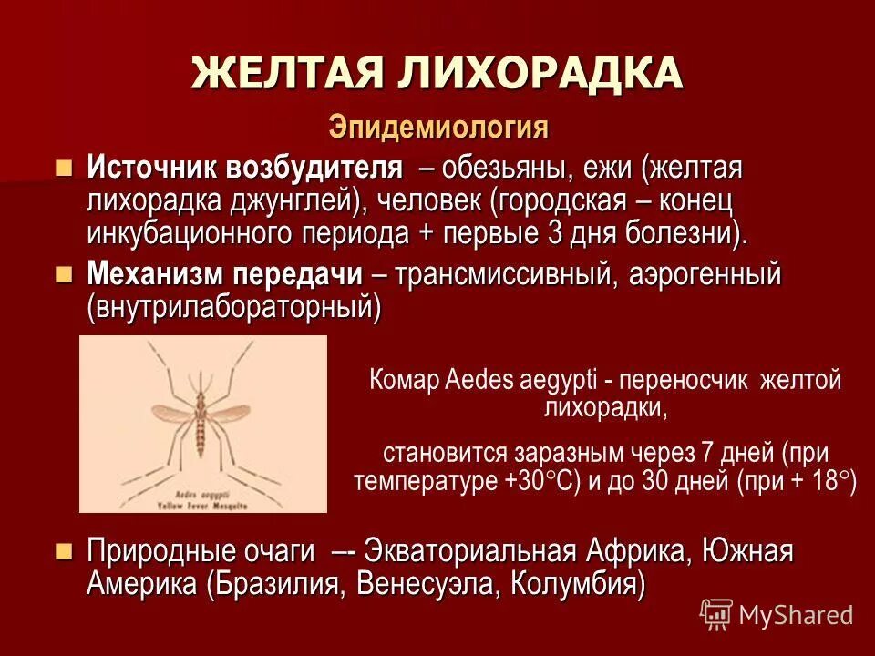 Желтая лихорадка лечение. Желтая лихорадка лечение. Желтая лихорадка лечение. Сертификат желтой лихорадки. Желтая лихорадка инкубационный период.