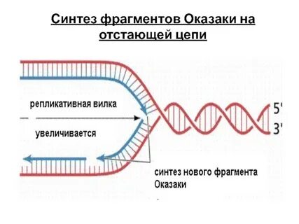 Фрагменты оказаки это