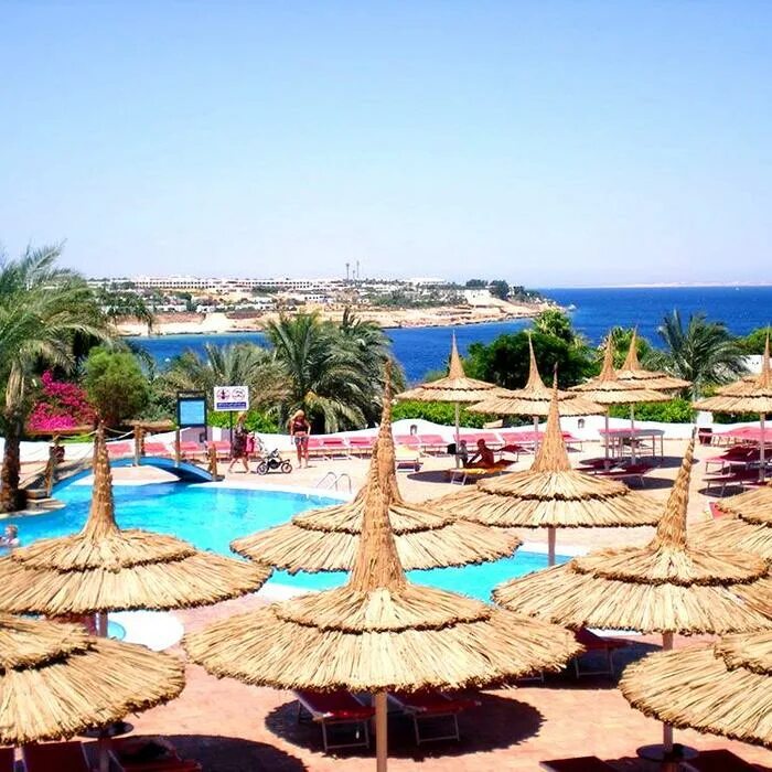 Домина гарем шарм. Шарм Эль Шейх скромные 5* типа domina Coral Bay Harem.