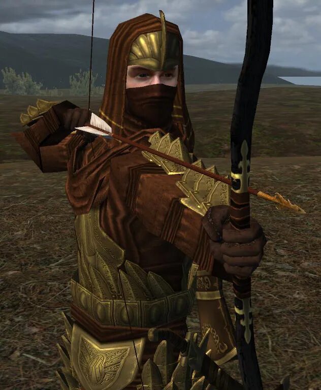 TLD overhaul. Warband overhaul. Маунт энд блейд Властелин колец. TLD overhaul Mount and Blade Warband. Warband native