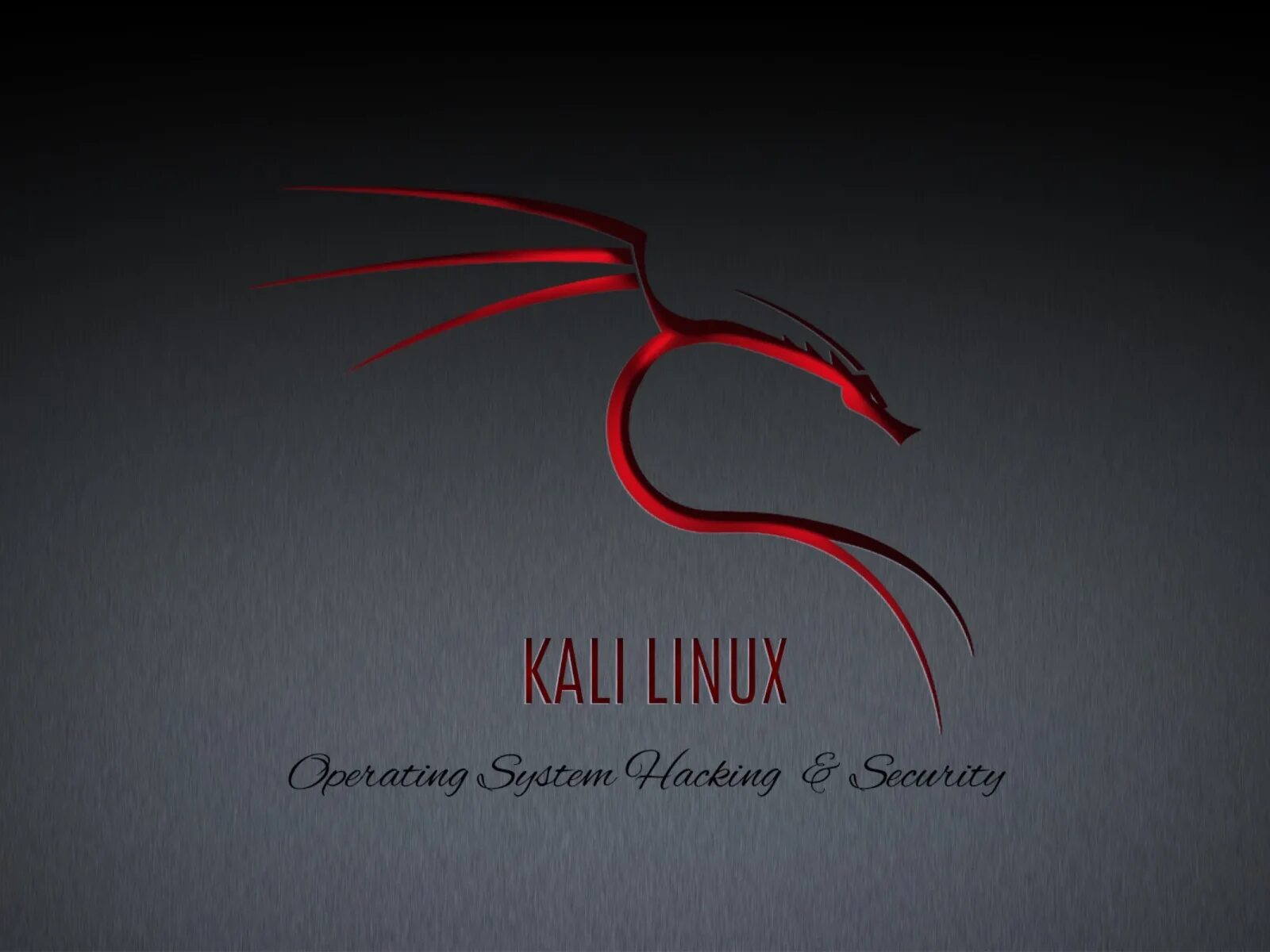 Кали линукс. Линукс kali. Kali Linux обои. Дракон Кали линукс.