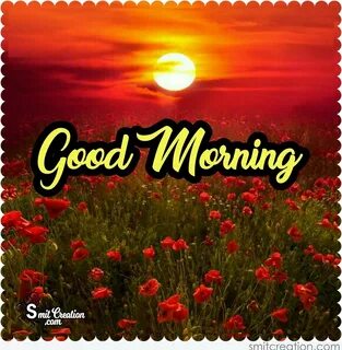 Good morning i am