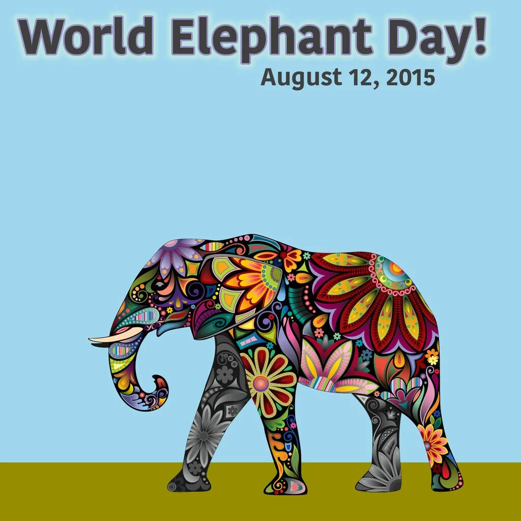 Elephants world. World Elephant Day. Toca World Elefant. Fun fact about Elephant.