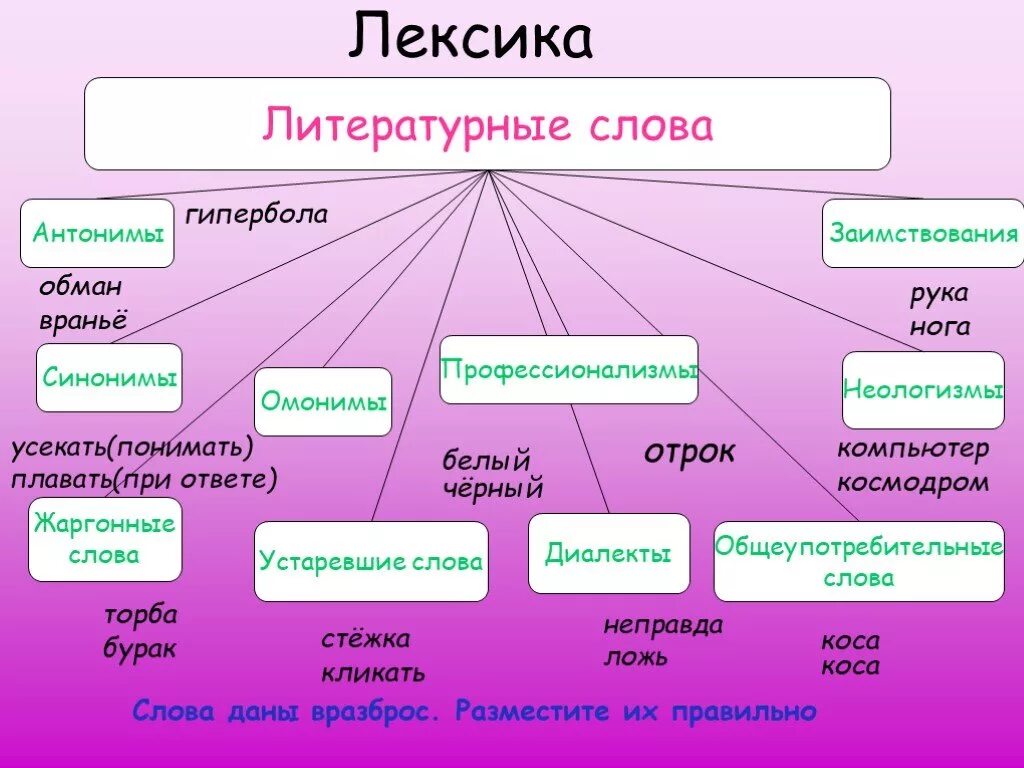 Лексическая группа семья. Литературные слова. Лексика. Лексика русского языка. Лексика примеры.