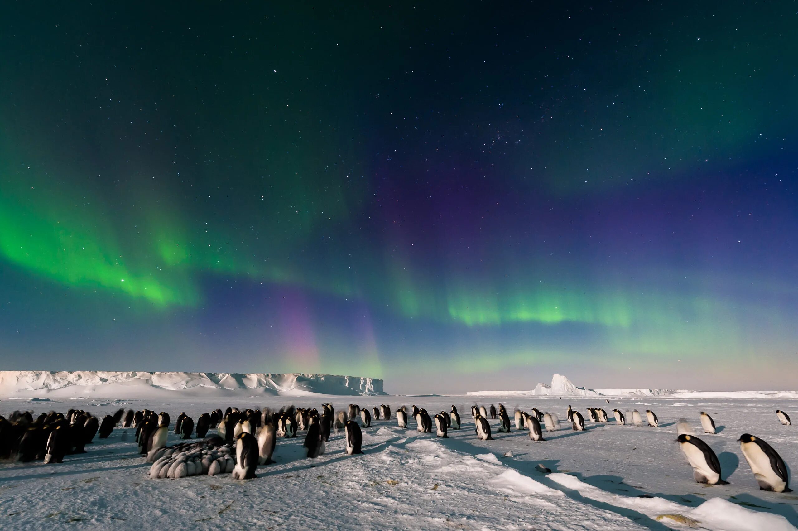 Какая природная зона перед полярным кругом. Антарктида Северное сияние. Южное полярное сияние в Антарктиде. Полярная ночь с северным сиянием в Антарктиде. Северное сияние в Антарктике.