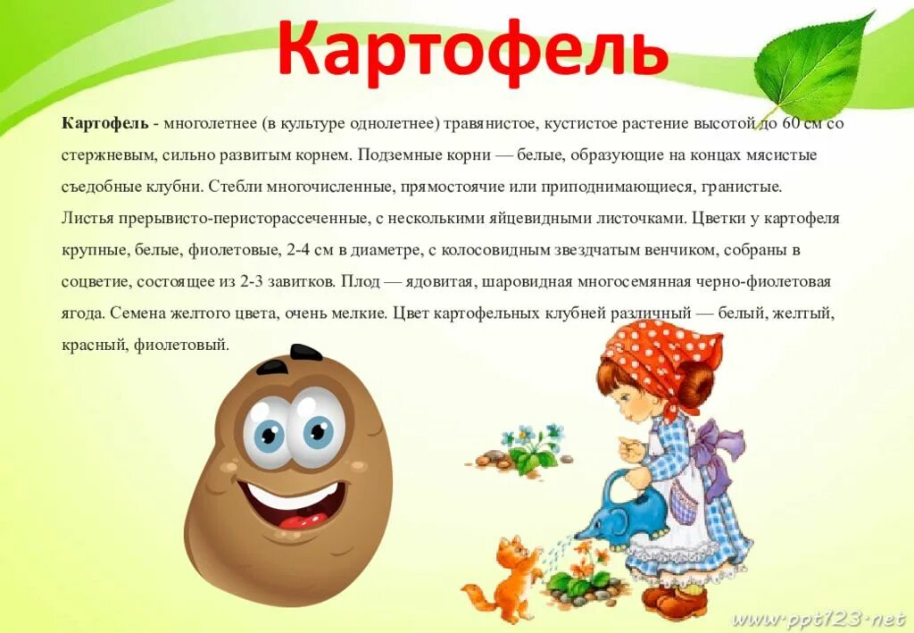 Наблюдение в огороде в детском саду. Дневник наблюдений в подготовительной группе за растениями. Дневник наблюдений огород на окне в детском. Дневник наблюдения за ростом перца в детском саду. Наблюдение в огороде в детском саду.
