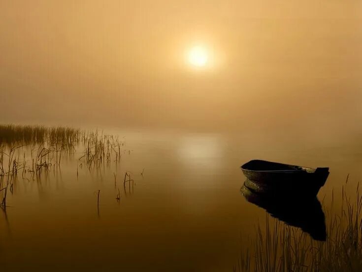 Царило безмолвие и солнце. Царило безмолвие и солнце. Стихотворение апухтина день ли царит тишина ли ночная. Закат солнца. Белое безмолвие.