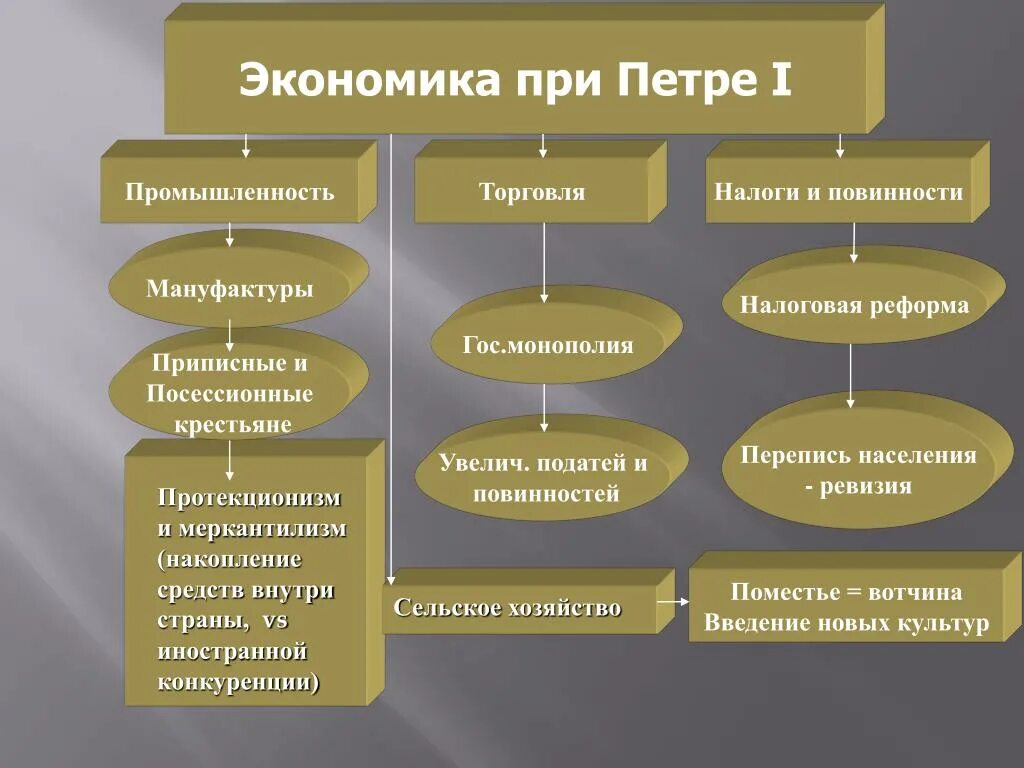 Примеры экономической политики россии. Экономическая политика при Петре 1. Протекционизм при Петре первом. Примеры экономической политики при Петре 1. Политика меркантилизма и протекционизма при Петре 1.