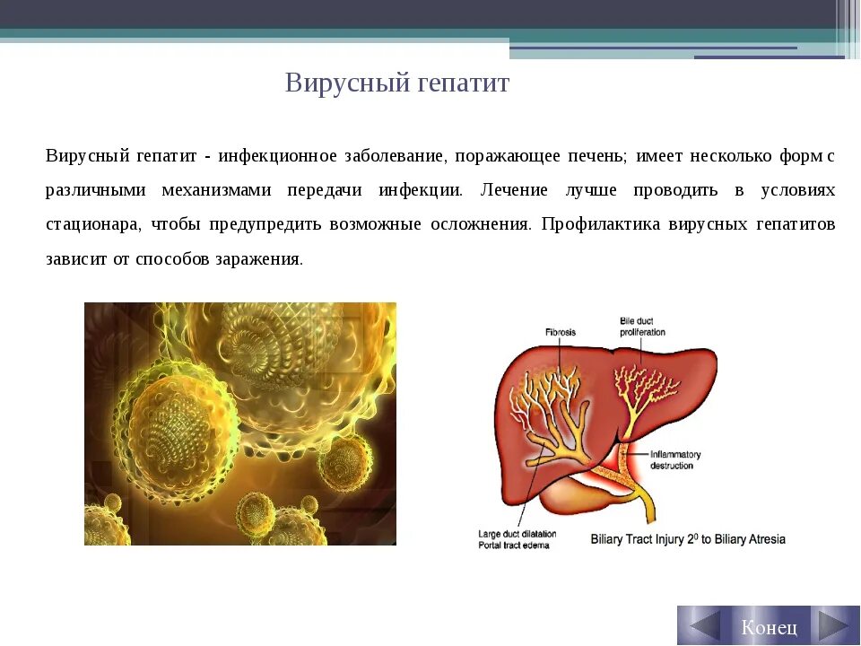 Вирус гепатита 6. Сообщение о вирусе гепатита. Презентация на тему гепатит. Вирус гепатита с презентация. Сообщение о вирусном гепатите.