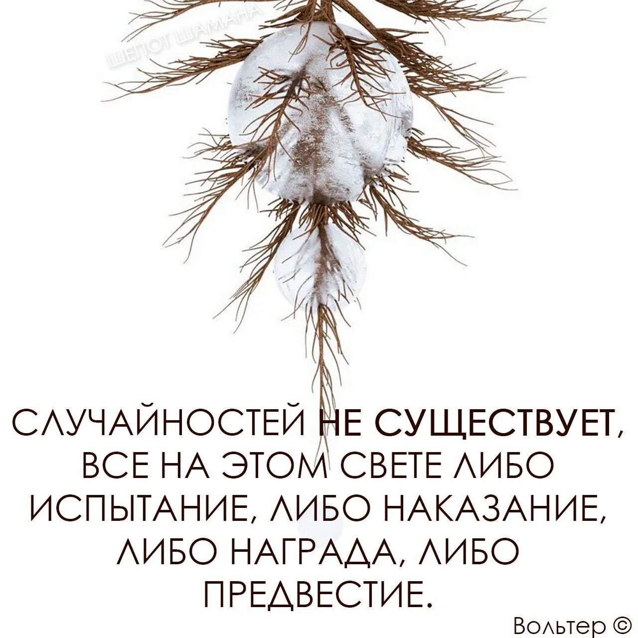 Между случайностью и неизбежностью. Случайностей не существует. Случайности не существует цитаты. Случайностей не бывает либо испытание либо наказание либо награда. Либо испытание либо наказание.