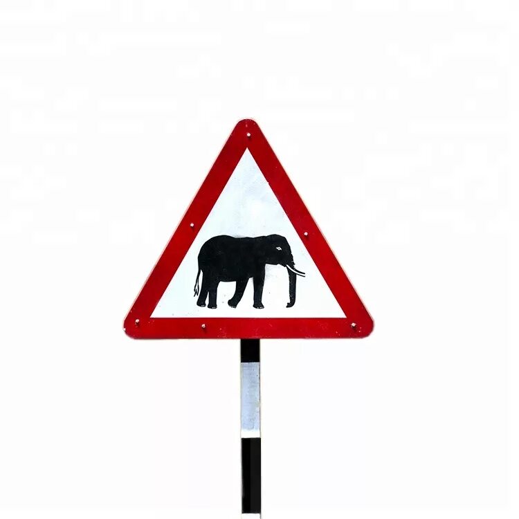 Дорожные знаки на дороге. Дорожные знаки светоотражающие. Дорожные знаки в Индии. Верный друг дорожный знак.
