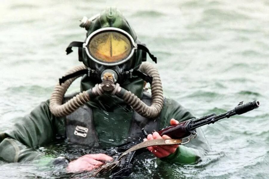 Спецназ пдсс вмф. Спецназ вмф боевые пловцы. Отряд пдсс северного флота. Морские котики спецназ пдсс. Морские диверсанты.