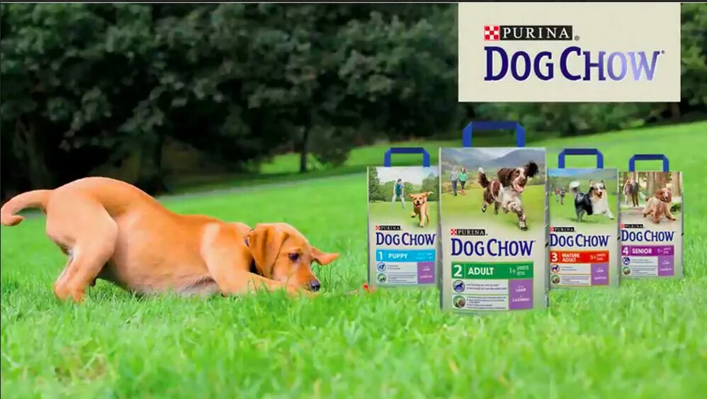 Grade a dog chow продается в. Корм dog chow для щенков. dog chow 14. кэт и дог чау логотип. дог чау корм для собак состав корма.