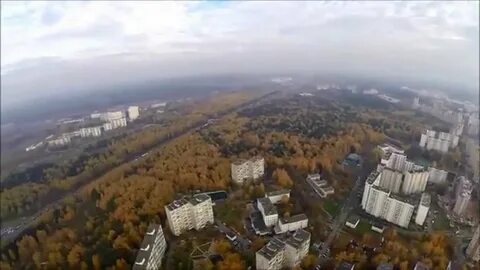 Видео быково