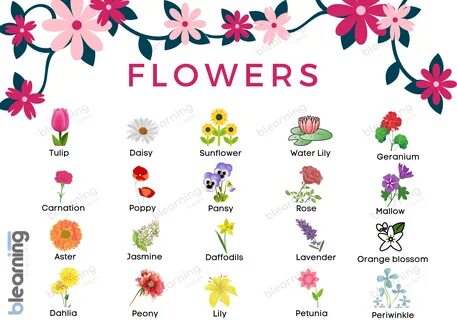 Adultos A2 - Vocabulary - B Learning Academy 