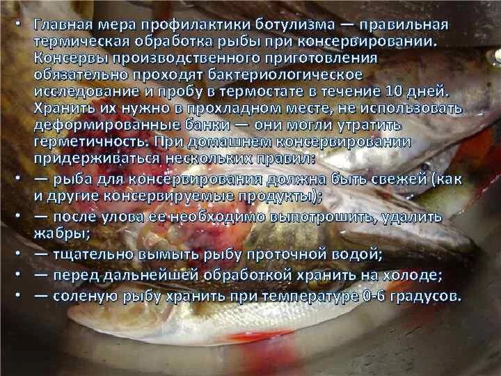 Сколько хранить соленую рыбу. Сколько хранить соленую рыбу