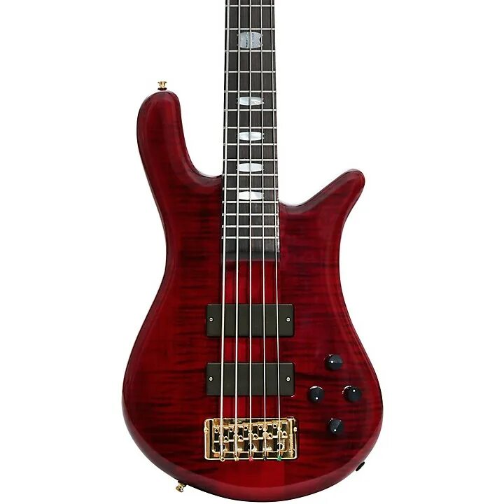 Spector. Бас-гитара spector euro5lx. spector bass euro 5lx. spector bass 5 string. spector euro 5.