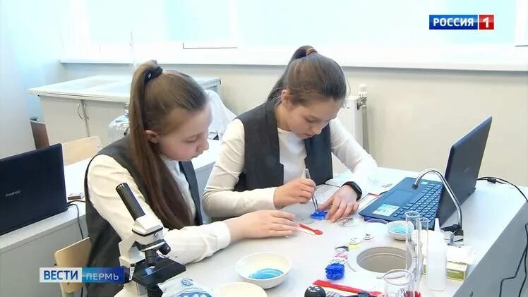 Работа пермь образование. Профподготовка. Современное образование в россии. Работа пермь образование. Профподготовка.