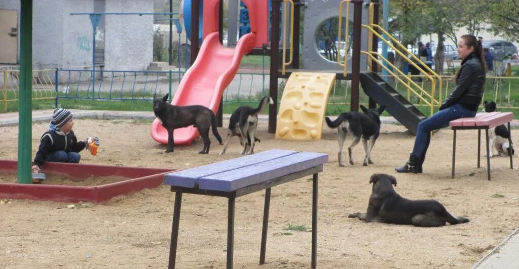 Можно ли гулять на площадках. Можно ли гулять на площадках. Можно ли гулять на площадках. Дети на детской площадке. Площадка для собак.
