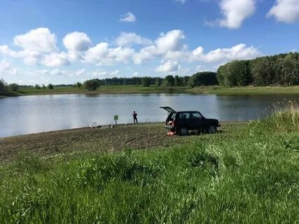 Погода в марьино николаевка тербунского