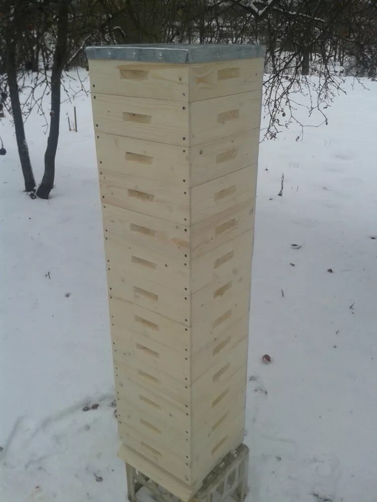Улей варрэ. Улей рож. Улей варрэ. Улей роже делона альпийский. Макет улья.