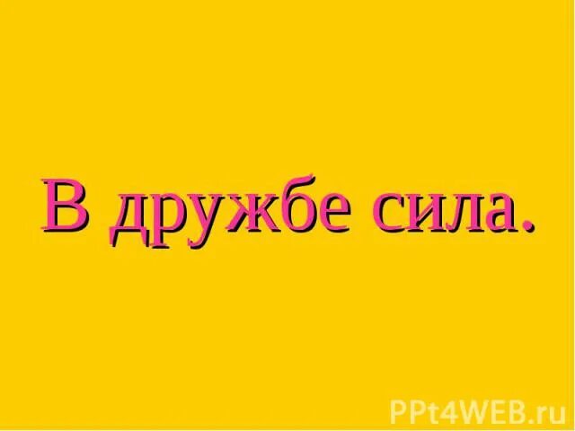 В дружбе наша сила картинки. Сила дружбы. Сила дружбы. Сила дружбы. Сила дружбы.