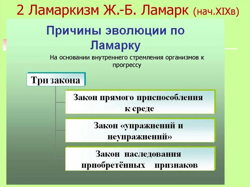 Какова причина эволюции по ж б ламарку