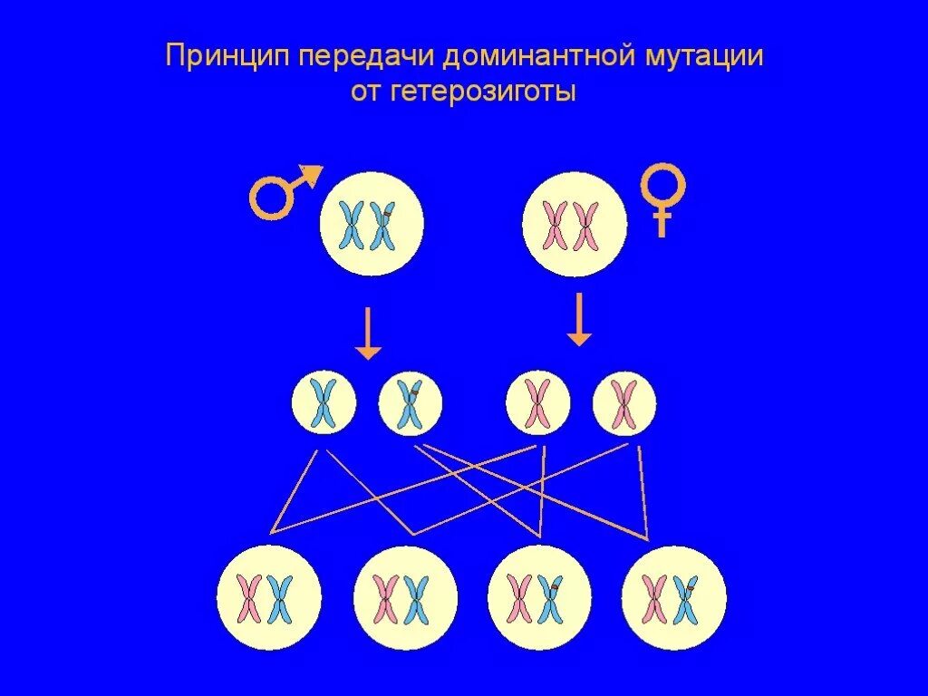 Какой рак передается по наследству. Онкология Тип наследования. Как передаетсямрак по наследству. Карцинома передается ли по наследству. Онкология передается по наследству.