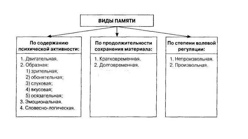 Виды памяти у детей дошкольного возраста. Виды памяти по возрастам у детей. Основные направления развития памяти в дошкольном возрасте. Виды памяти у детей 6-7 лет.