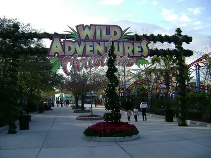 Wild adventures