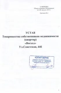 Устав новый образец