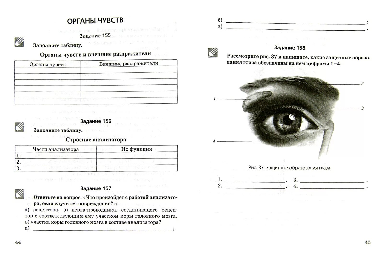 Тест по теме зрение. Органы чувств задания. Органы чувств задания для детей. Задания для глаз. Задания по теме органы чувств для дошкольников.