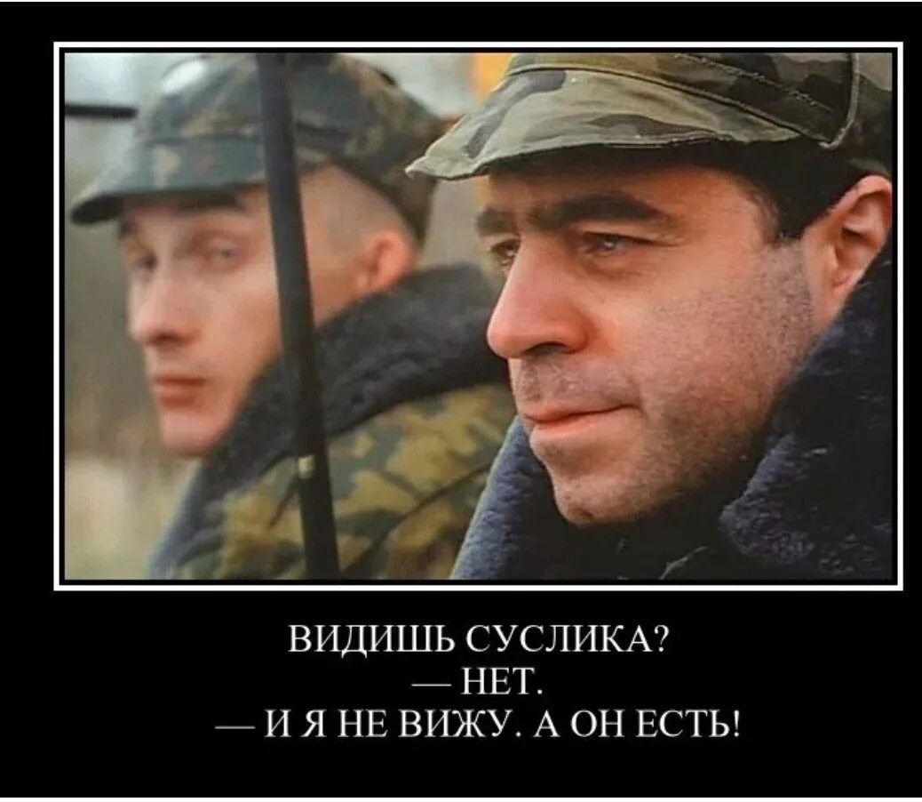 Дмб видишь суслика нет а он есть. Видишь суслика а он есть. Видишь суслика. Видишь суслик нет, аон есть. Видишь а он есть.