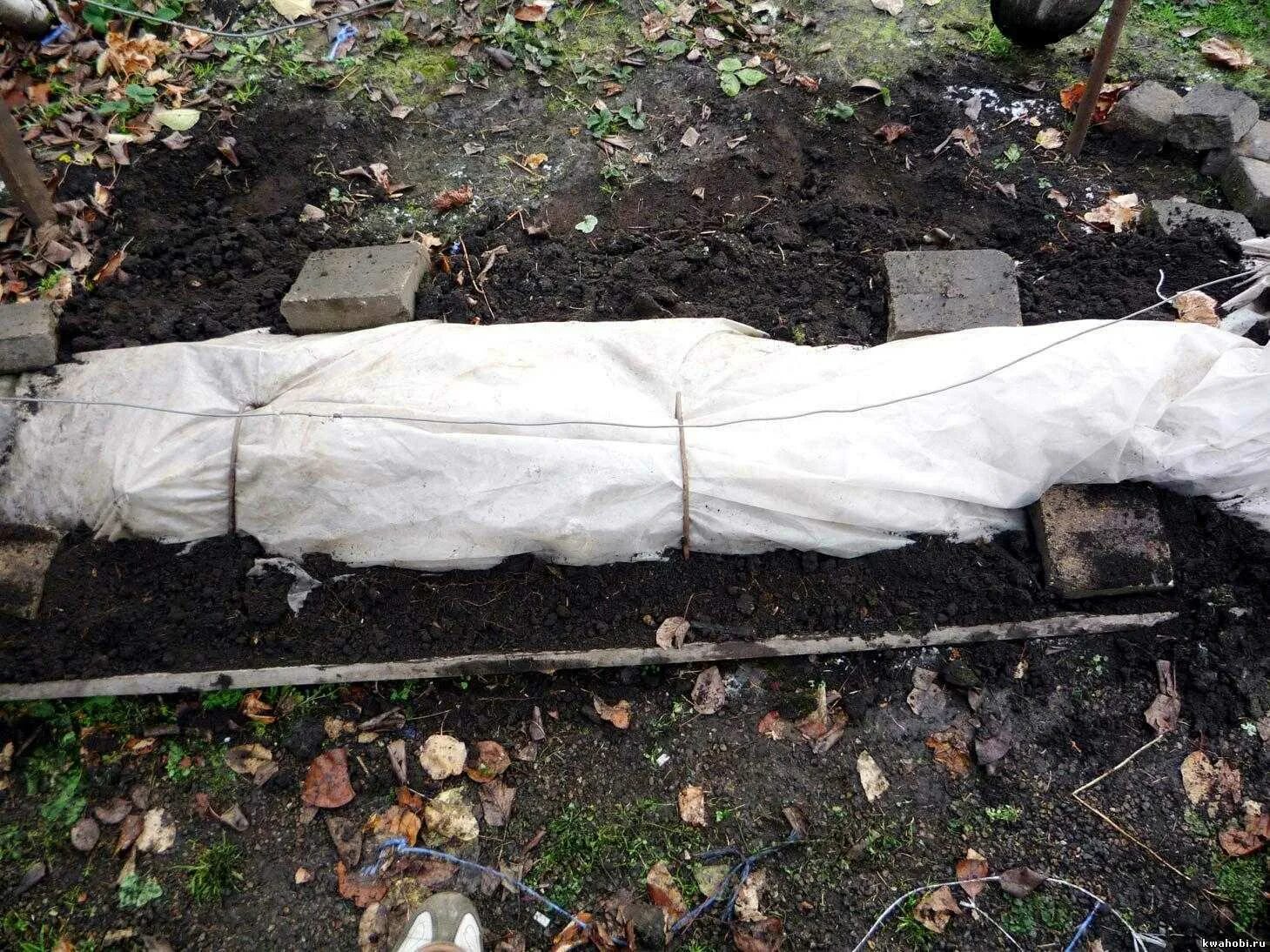 Укрытие винограда на зиму. Укрытие для винограда. Егорычев укрытие винограда. Укрыть виноград. Укрытие для винограда.