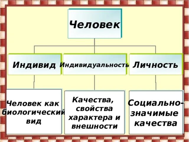 Человек как вид и как индивид. Человек как вид и как индивид