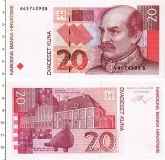 20 кун