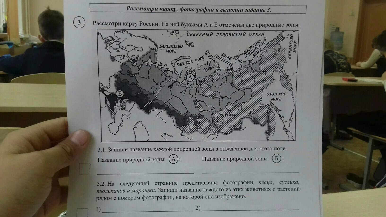 Карта природных зон России ВПР. Природные зоны по ВПР. Карта природные зоны России 4 класс окружающий мир для ВПР. ВПР окружающий мир зоны.