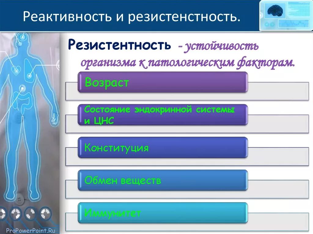 Реактивность и резистентность организма. Понятие о реактивности и резистентности организма. Взаимосвязь реактивности и резистентности. Устойчивость организма. Резистентность человека