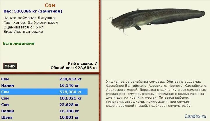 Русская рыбалка 3 сом. Канальный сомик на что ловить. Семейство сомовых рыб. Сом максимальный вес.